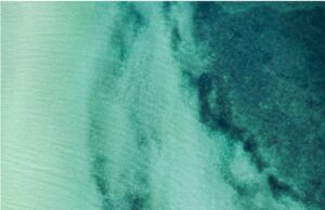 Femicidio y Overkill: A Propósito de un caso